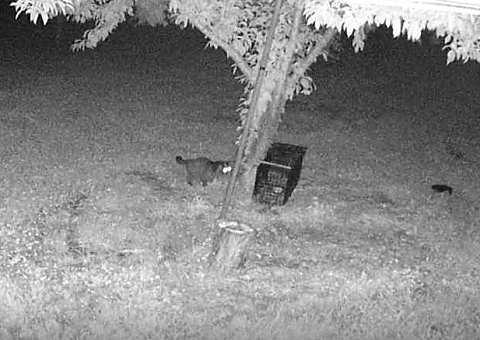 �n�N�r�V��