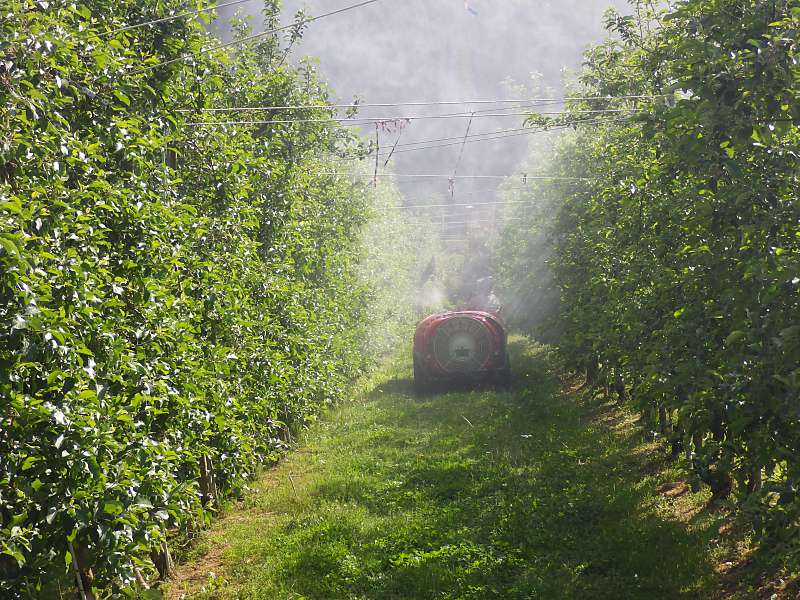 SS�ɂ���܎U�z