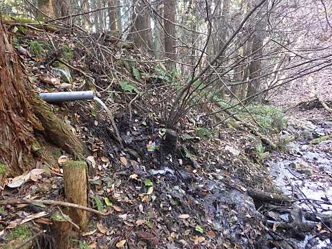 �I�[�o�[���̔r��