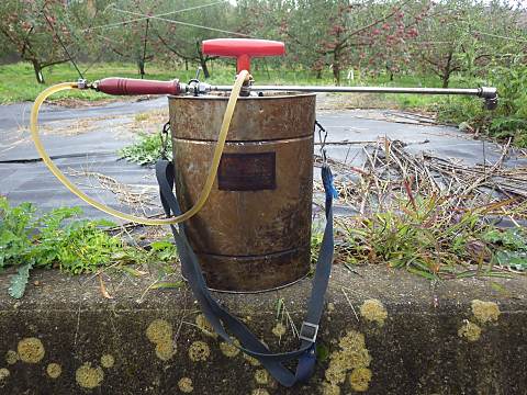 ���|�^�|���v