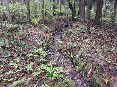 �ˋ����𗬂��򐅁E�N��