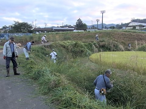 ���L�n�̑�����