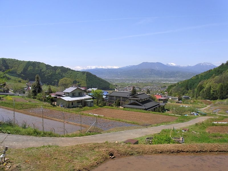 ���z�̒I�c