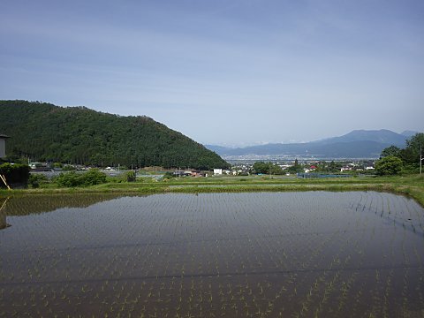 �c�A�����I��������͌��̐��c