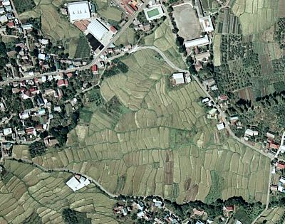 �񔽓c�E���͌�1975.9.25