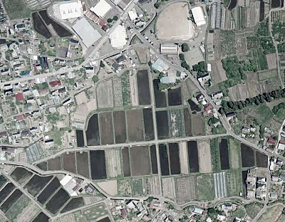 �񔽓c�E���͌�2010.6.6