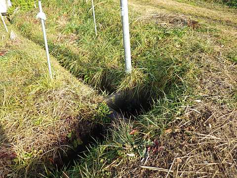 �㉁�Ɖ����̍���