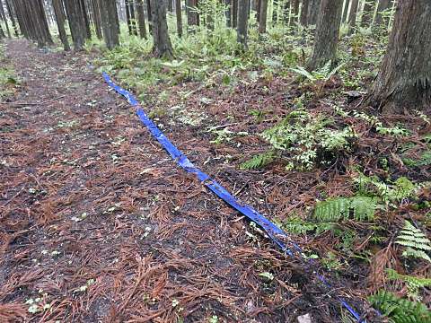 �����z�[�X