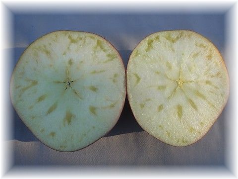 �s�������̍���t