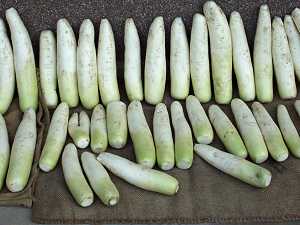 �卪�����Ċ���