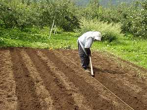 ���؎����̐�����