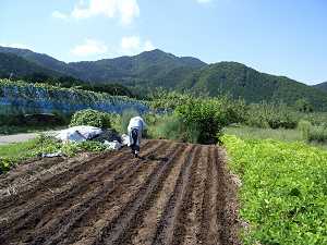 ���؂̎펪��