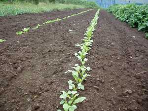 �卪������o����