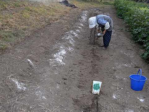 �z�E�����\�E�̎펪��