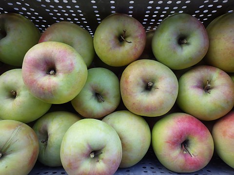 �s����ܖ����t