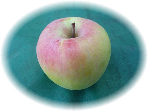 �s����ܖ����t