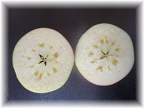 �s����ܖ����t