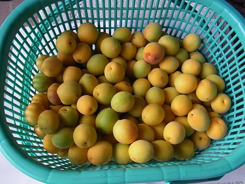 �n�����~