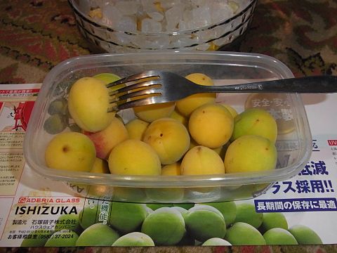 �~�Ɍ�����