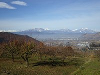 ���_����