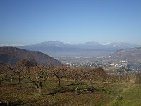 �D�V����