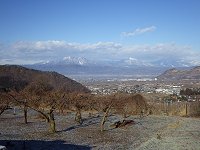 ���̓���