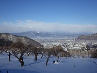 �����̒�