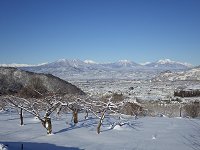 �~����̒�