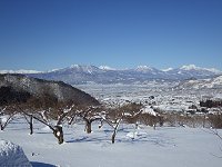 �V�Ⴊ�܂Ԃ�������