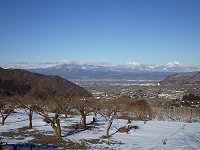 ���₩�ȓ~����