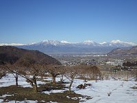 ���₩�ȓ~����