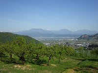 ���ǂ��̓�