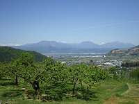 ��\���̋�����