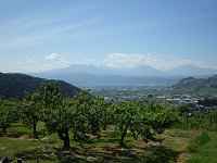 �s��Α����t�̓E��