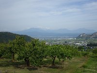 �u�h�E���J��