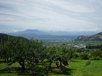 �~�J����