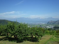 �ҏ�����