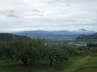 �m���m���䕗