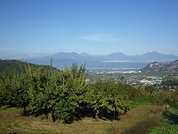 �X�|�[�c�̓�