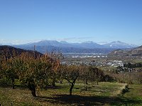 ���t���a