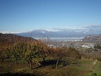 ���t���a