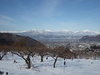 �N���X�}�X