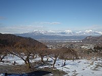 ���̓���