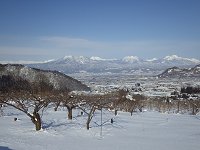 ���t���g