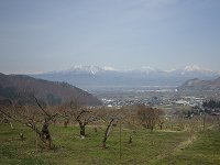 �E�O�C�X�̏���