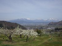 �ē������O