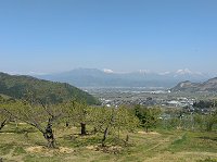 ���\����