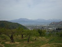 ���ǂ��̓�