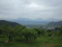 �~�J����