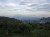 �Ď��̗���